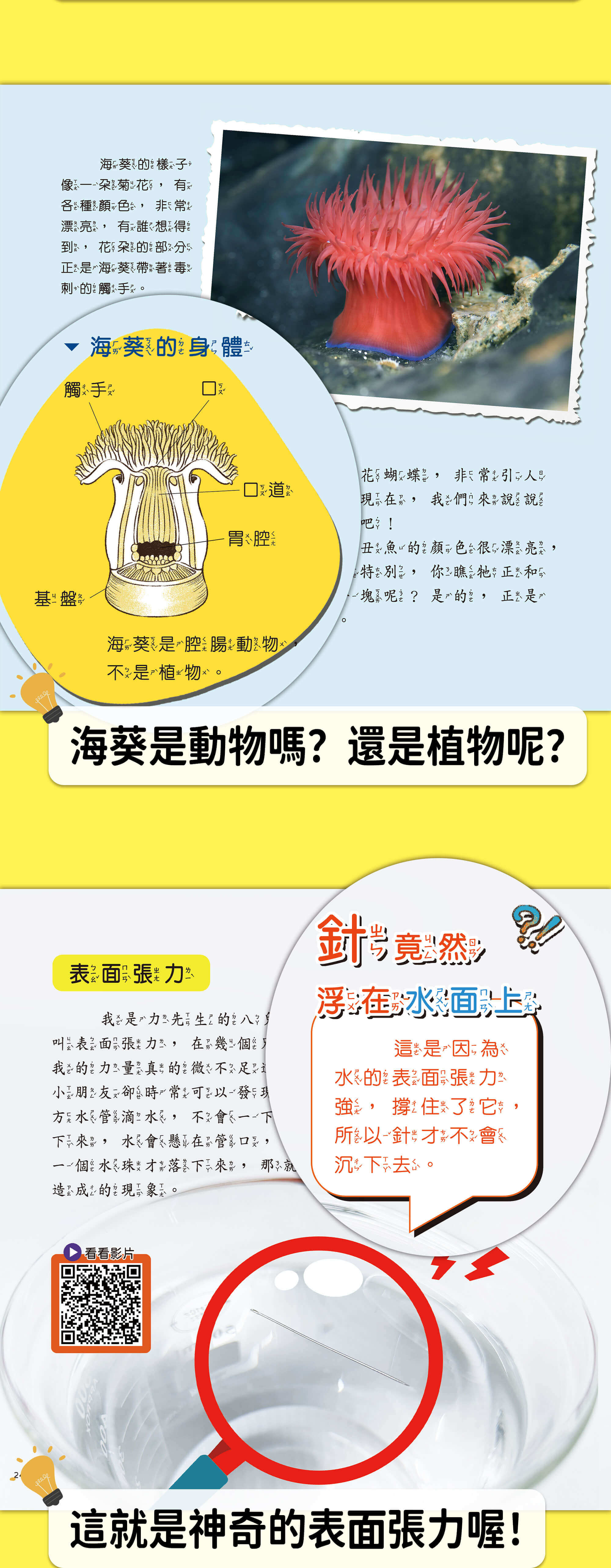 孩子愛上自然課 系列2