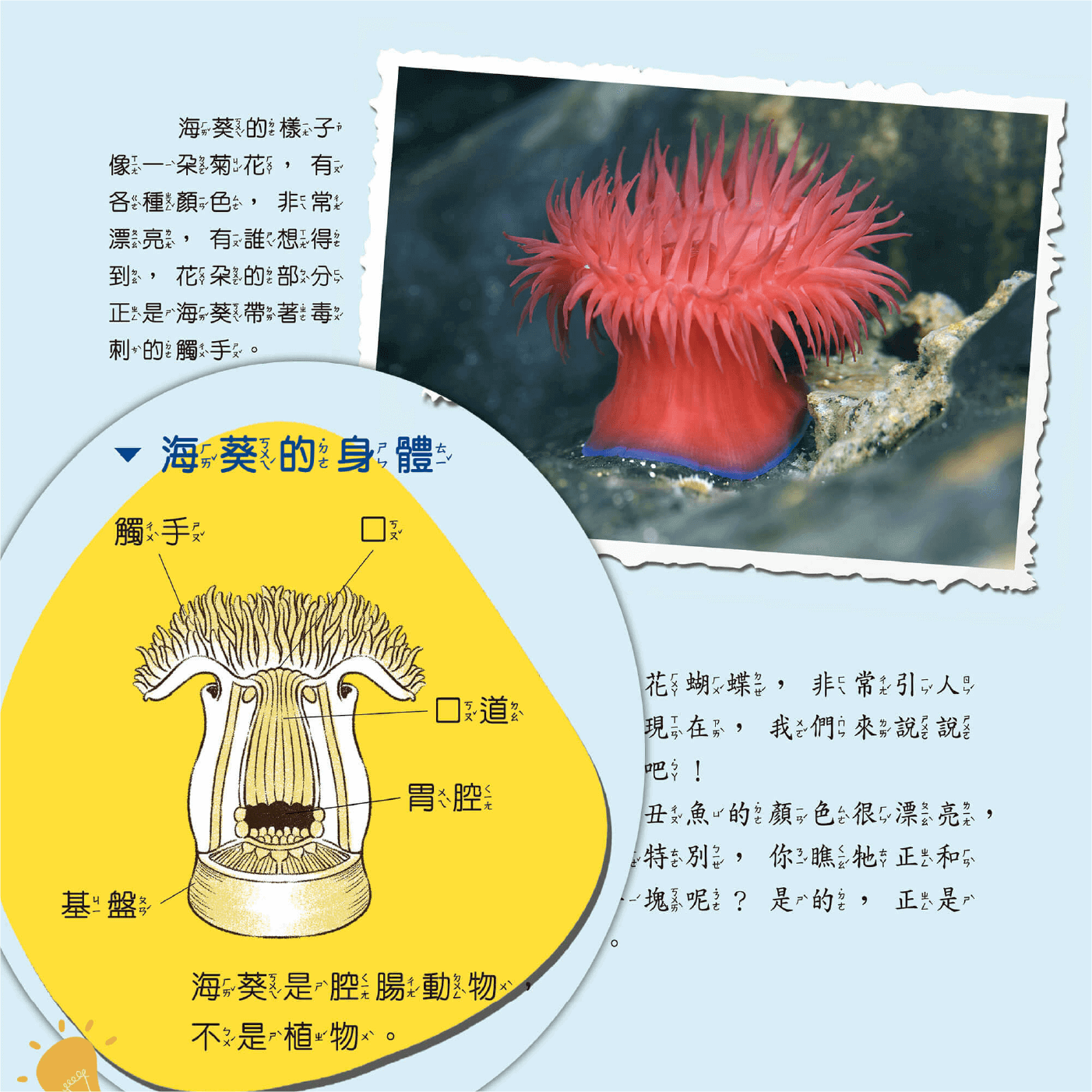 nature-s2_content_01 孩子愛上自然課 系列2