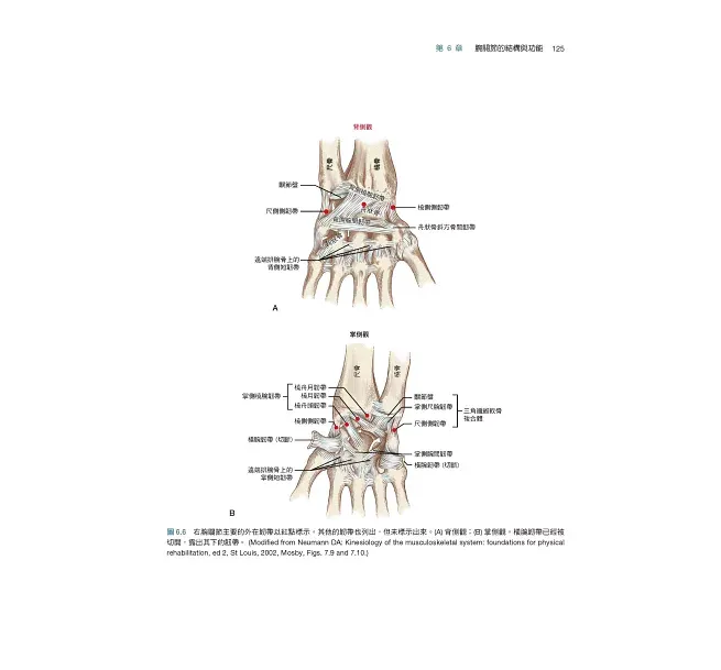 tc-43259_03 tc 43259 03