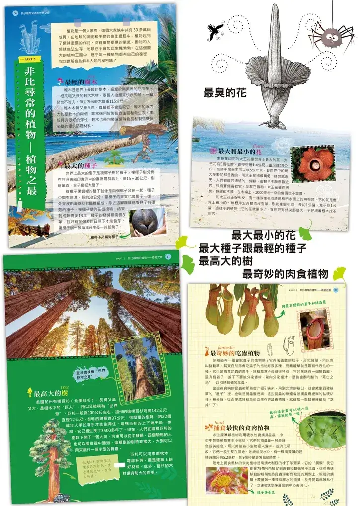 世界之最