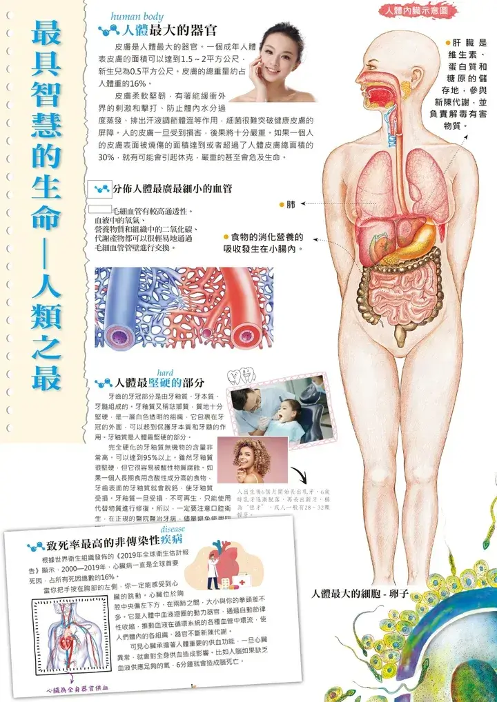 世界之最