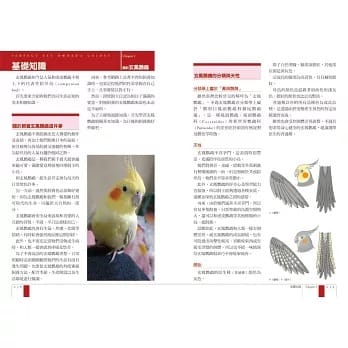 getImage (53) getImage 53