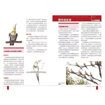 getImage (54) getImage 54